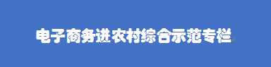 电子商务进农村综合示范专栏