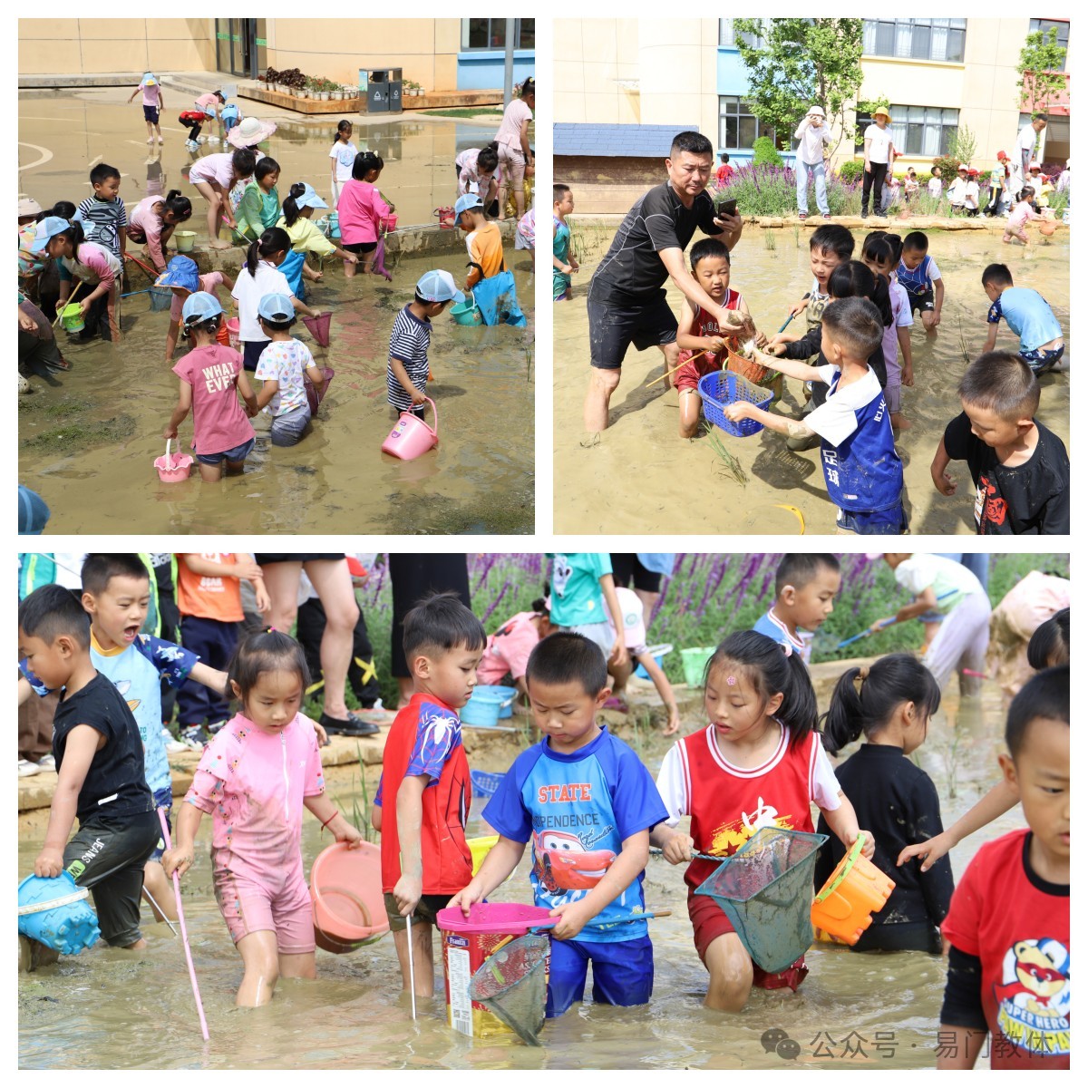 图片3.jpg 图片3.jpg