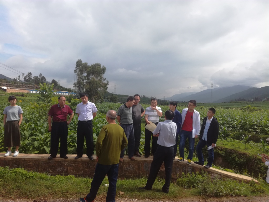 2017-7-19 岔河连通工程 2.jpg 2017-7-19 岔河连通工程 2.jpg