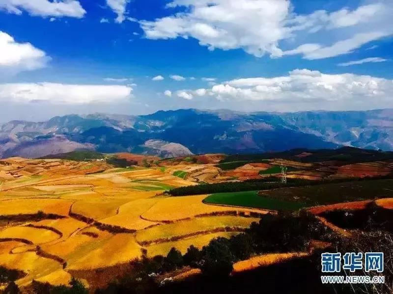 微信图片_20181022150408.jpg