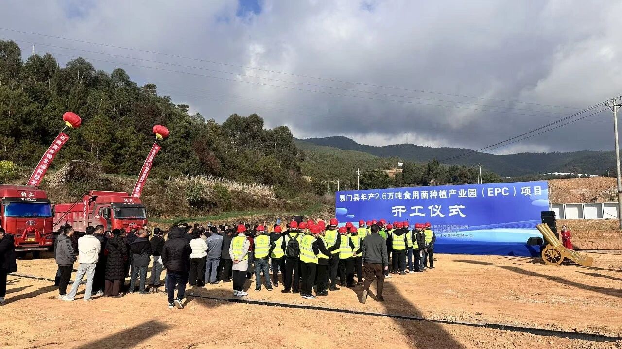 抓落实 开新局丨易门县年产2.6万吨食用菌...