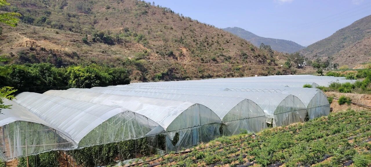 答好五问促增收 | 易门县绿汁镇木厂村：...