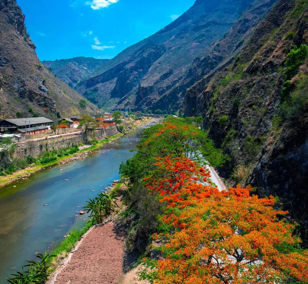 微信图片_20200601170427.jpg 微信图片_20200601170427.jpg