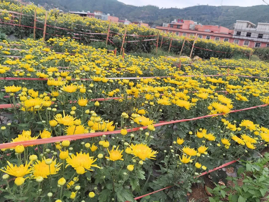 图片10.png 图片10.png