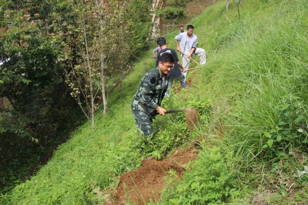 图片2.png 图片2.png