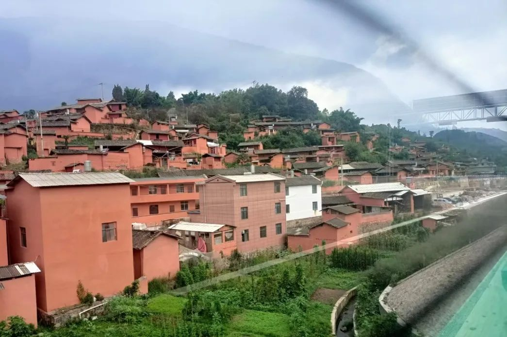 图片4.png 图片4.png