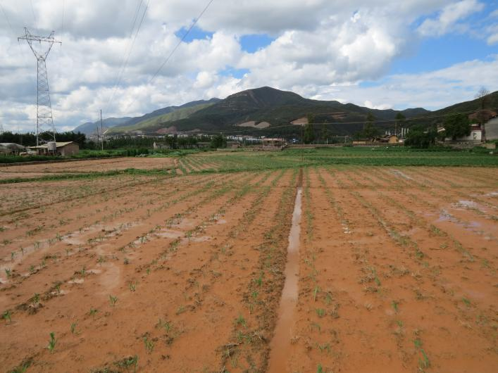 图片4.png 图片4.png