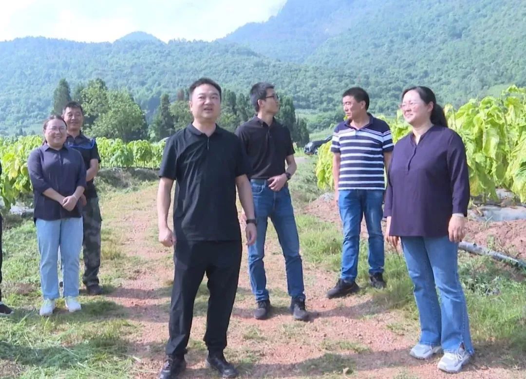 来源易门县人民政府网发布时间20230928104029