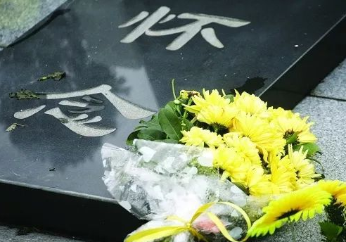 微信图片_20240404222927.png