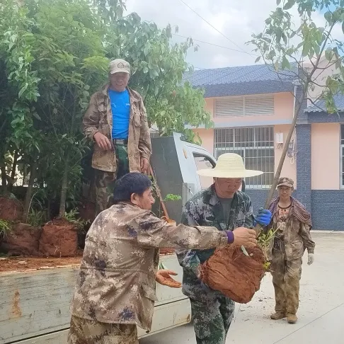 图片3.png 图片3.png