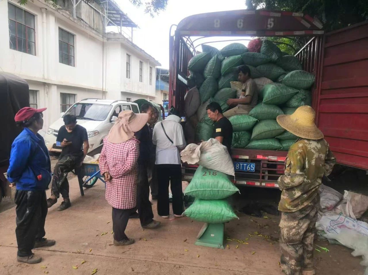 小米辣3.jpg