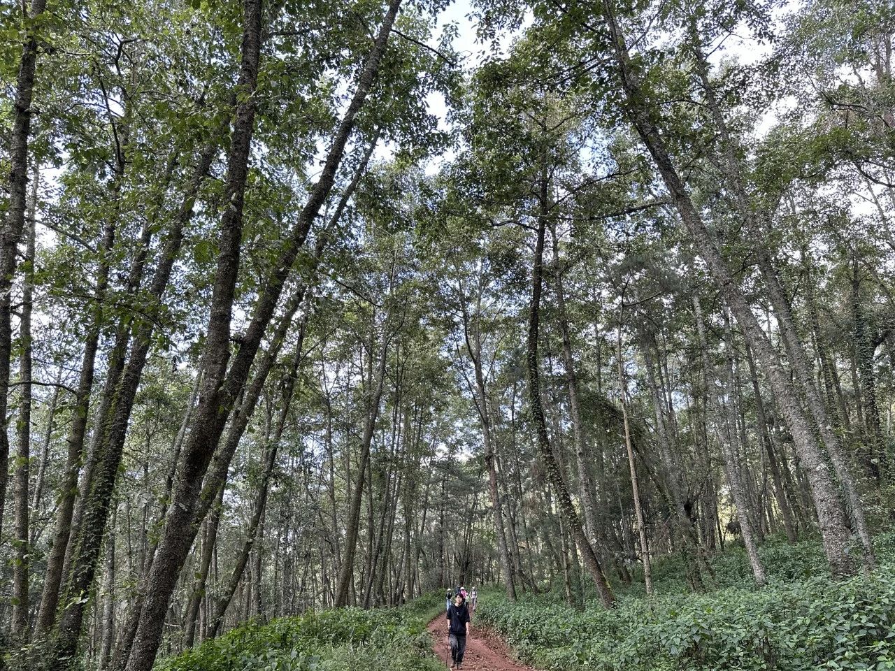登山7.1.jpg