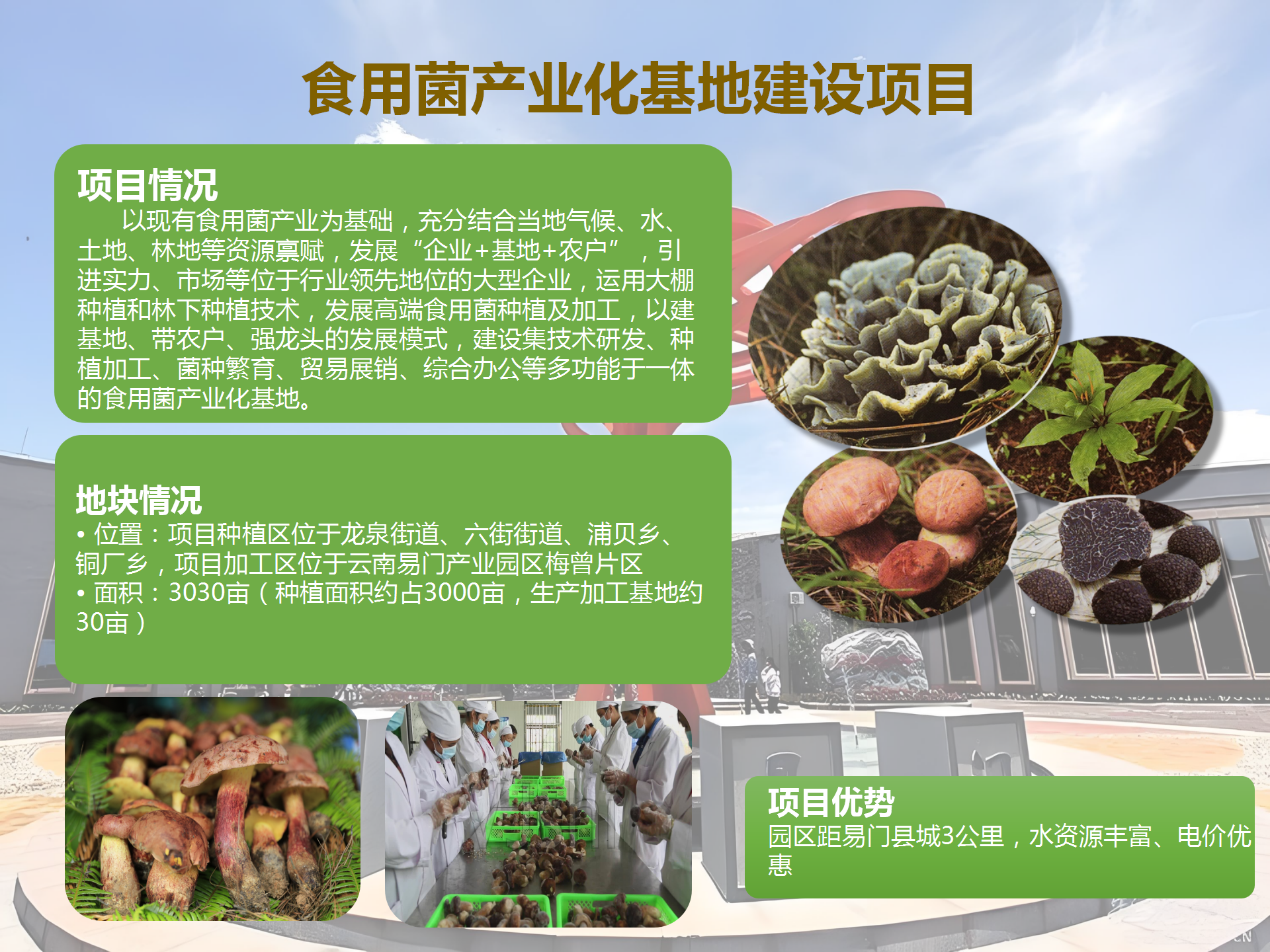 招商项目册（2024年）(7.23)(11.22改)_10.png