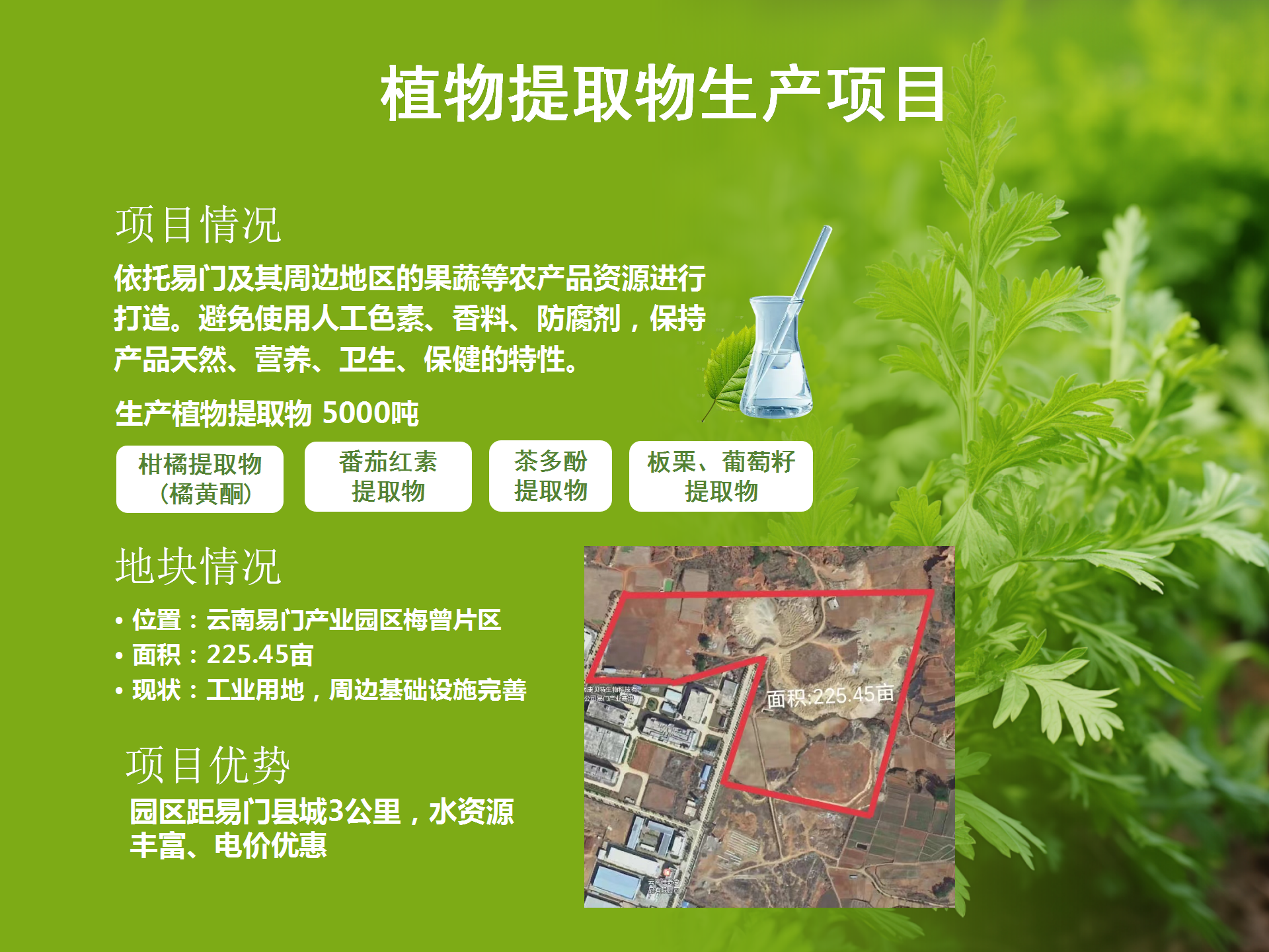 招商项目册（2024年）(7.23)(11.22改)_12.png