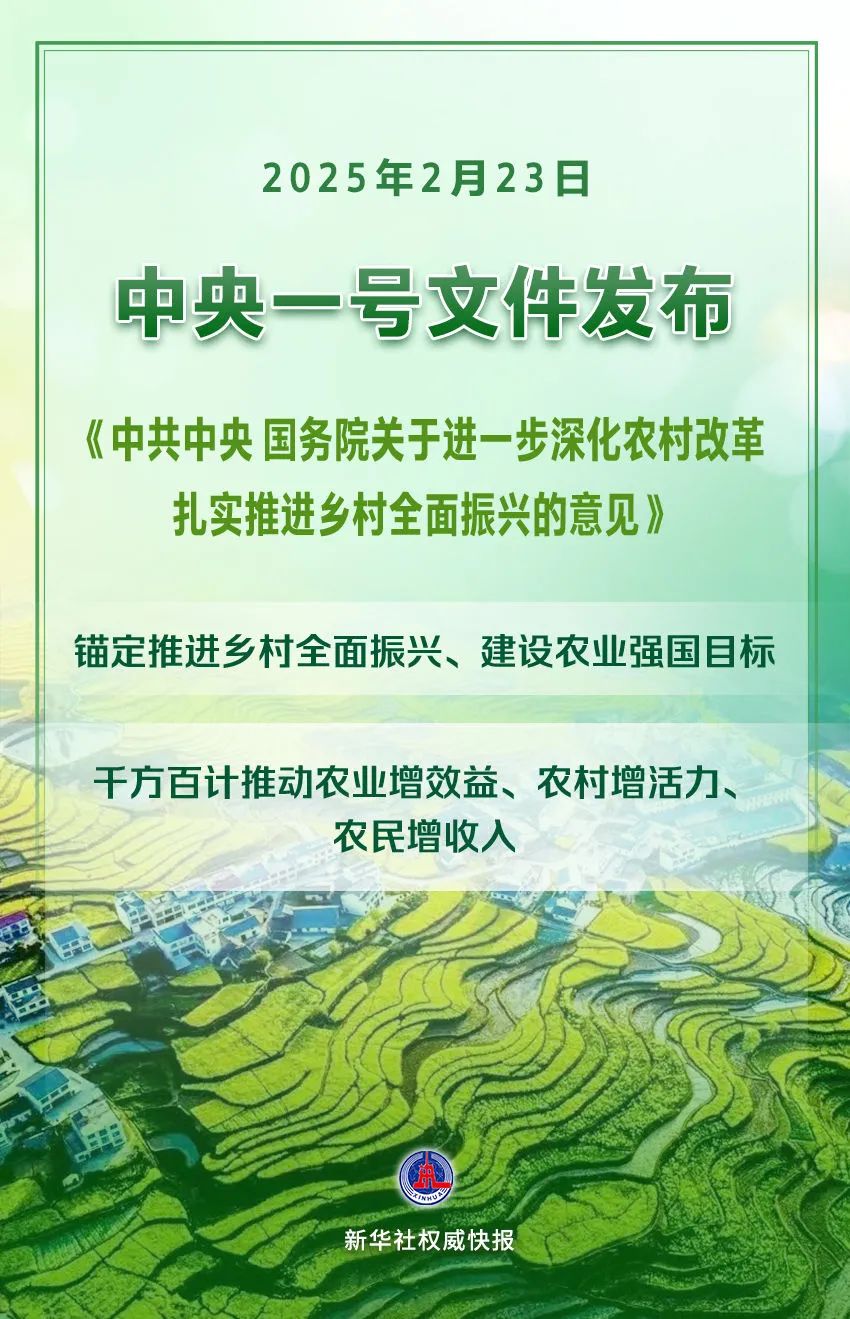 中央1.jpg