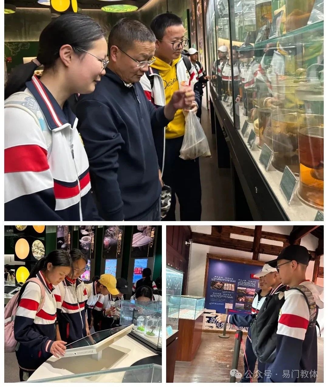 图片39.jpg 图片39.jpg