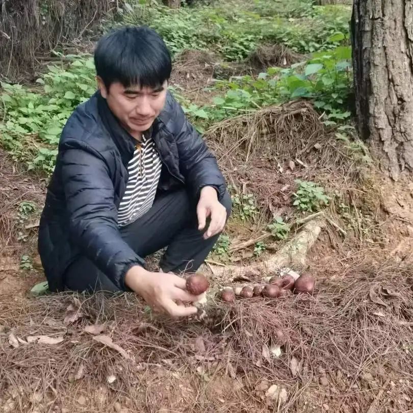 微信图片_20250429084217.jpg