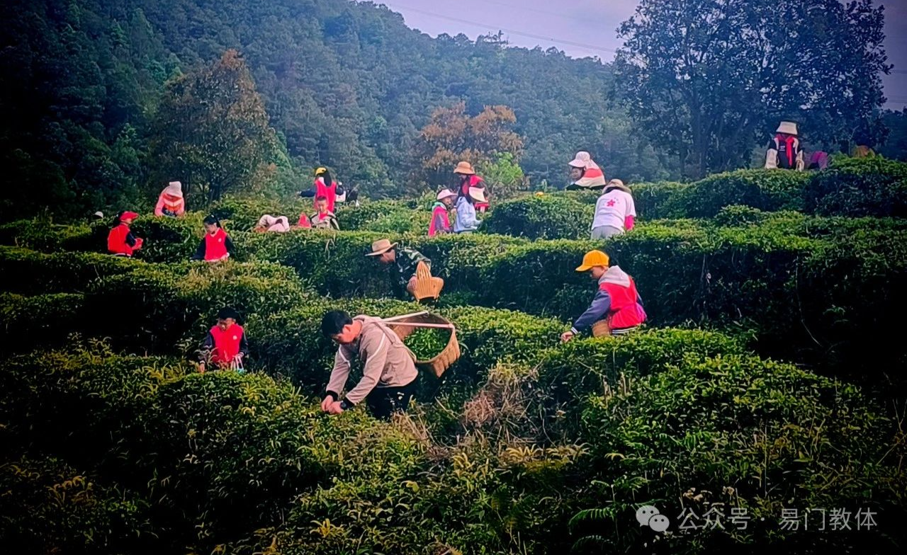 图片1.png 图片1.png