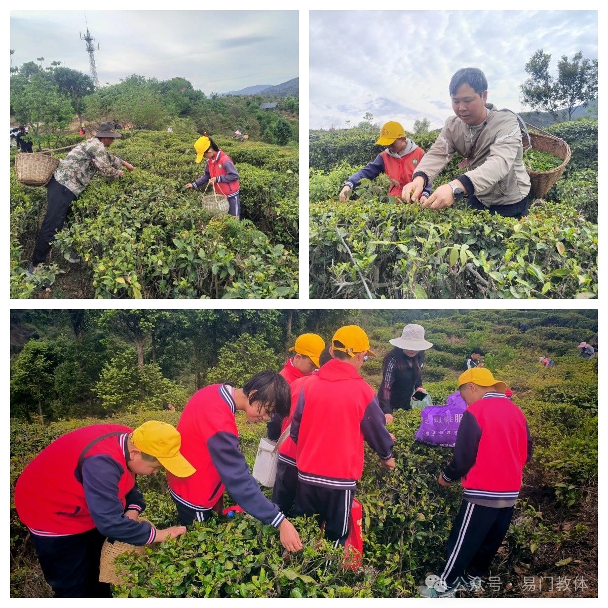 图片2.jpg 图片2.jpg