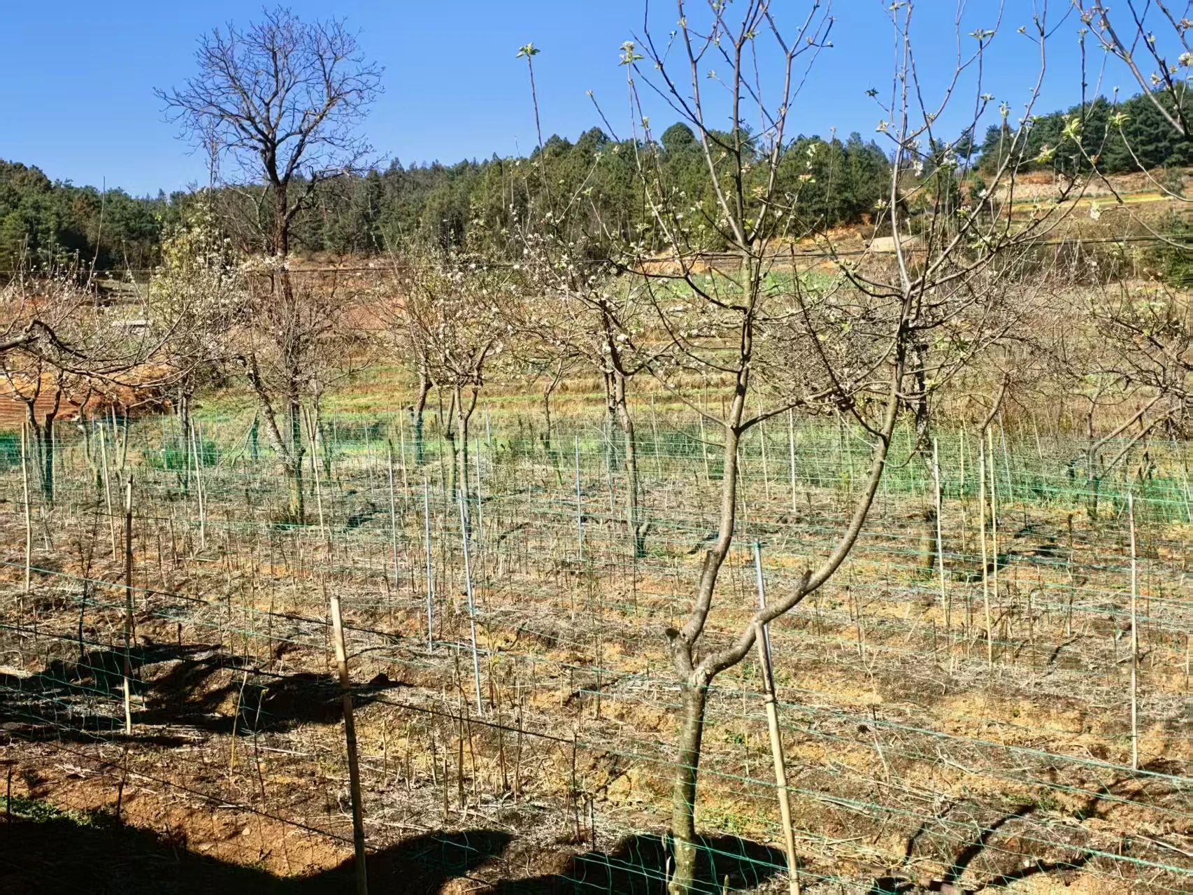 微信图片_20250512100914.jpg 微信图片_20250512100914.jpg