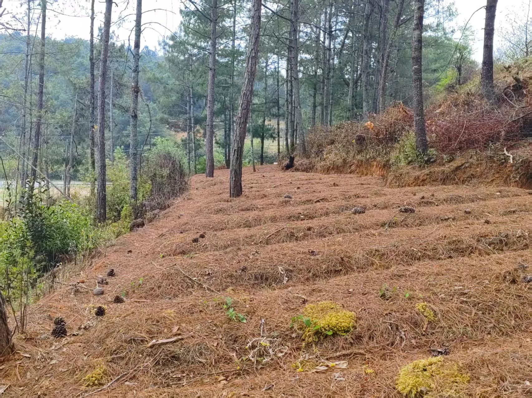 微信图片_20250512100929.jpg 微信图片_20250512100929.jpg