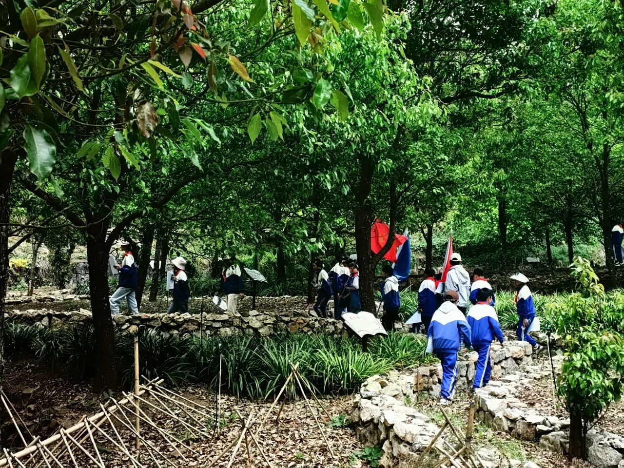 微信图片_20250512100940.jpg 微信图片_20250512100940.jpg