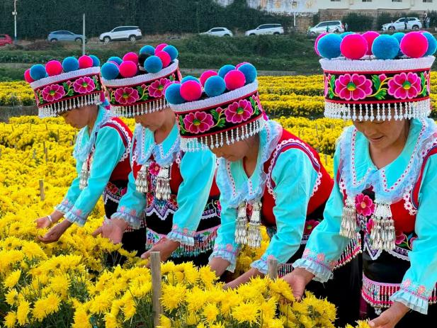 图片2.png 图片2.png