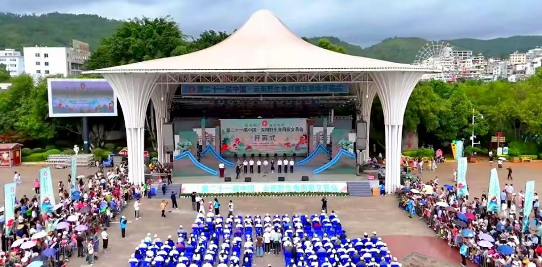 图片5.png 图片5.png