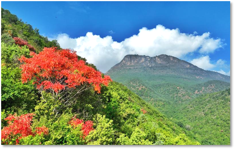 图片3.png 图片3.png