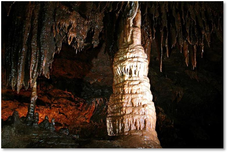 图片4.png 图片4.png