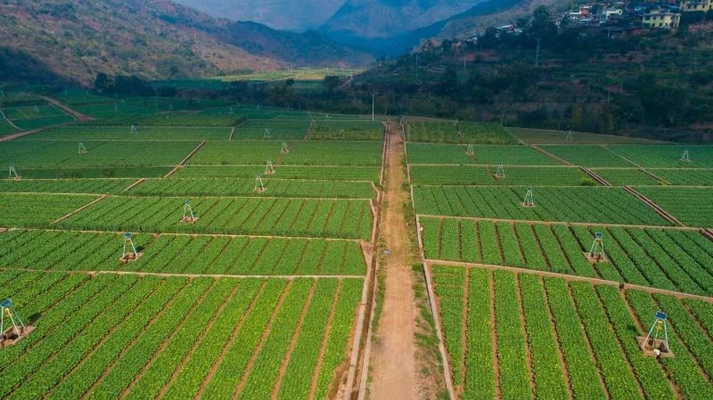 图片3.png 图片3.png