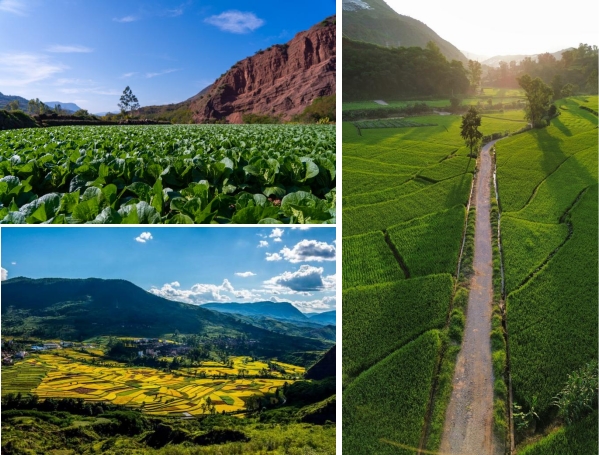 微信截图_20250916104437.png 微信截图_20250916104437.png