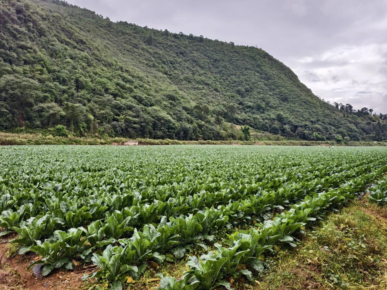 微信图片_20251013083527.jpg 微信图片_20251013083527.jpg