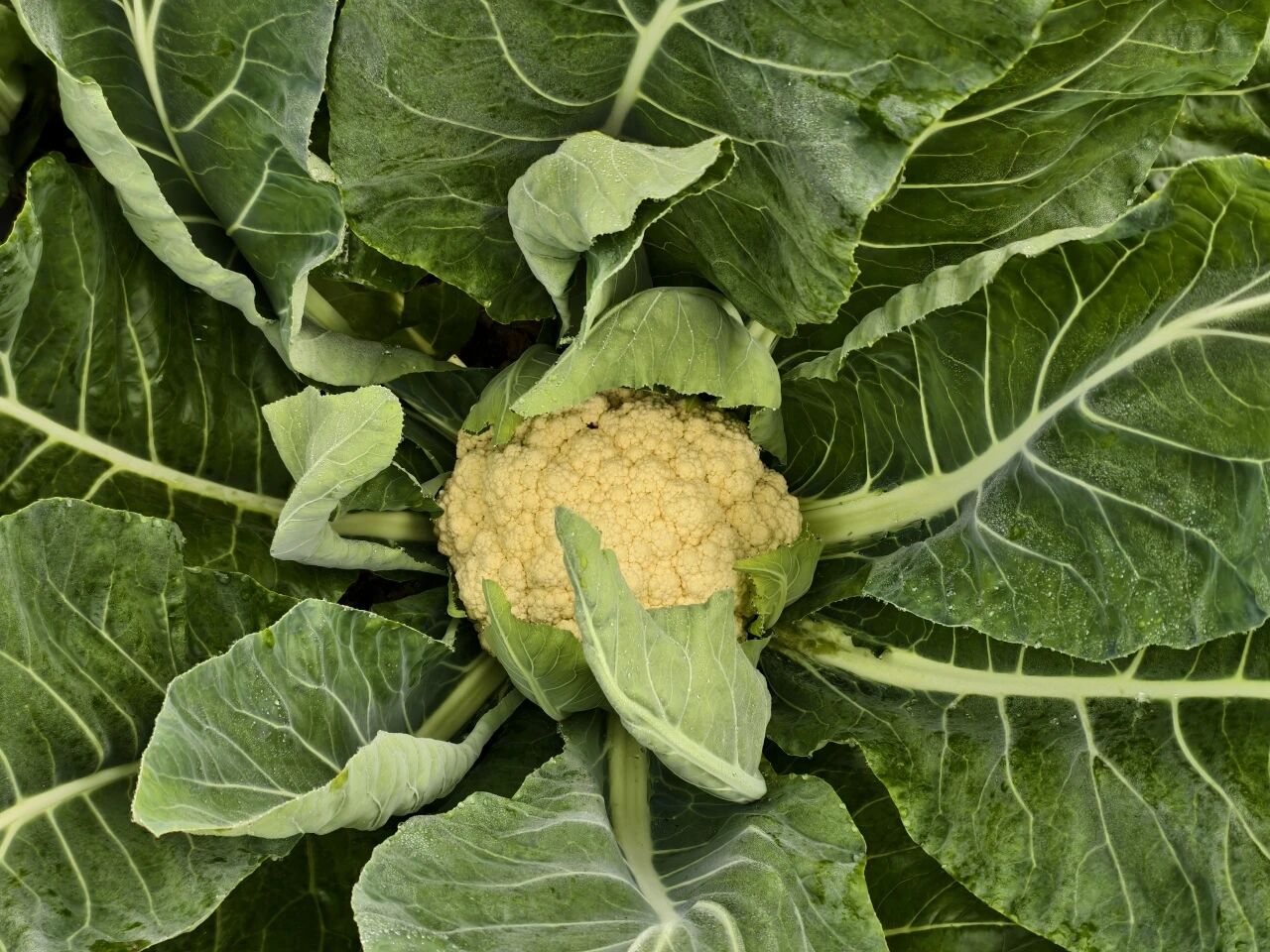 微信图片_20251013083542.jpg 微信图片_20251013083542.jpg