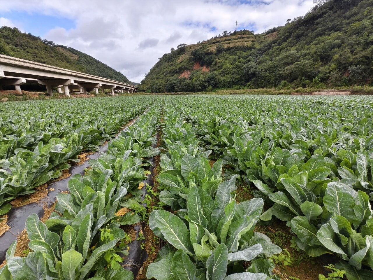 微信图片_20251013083548.jpg 微信图片_20251013083548.jpg