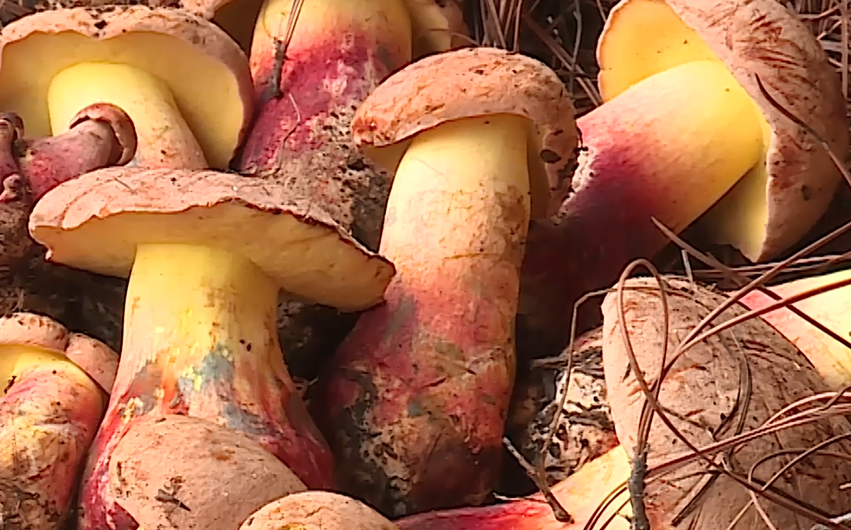 图片5.png 图片5.png