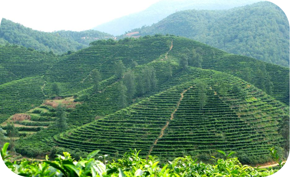 图片4.png 图片4.png