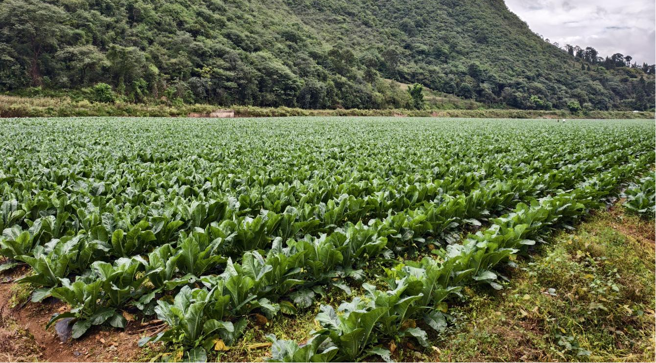 图片5.png 图片5.png