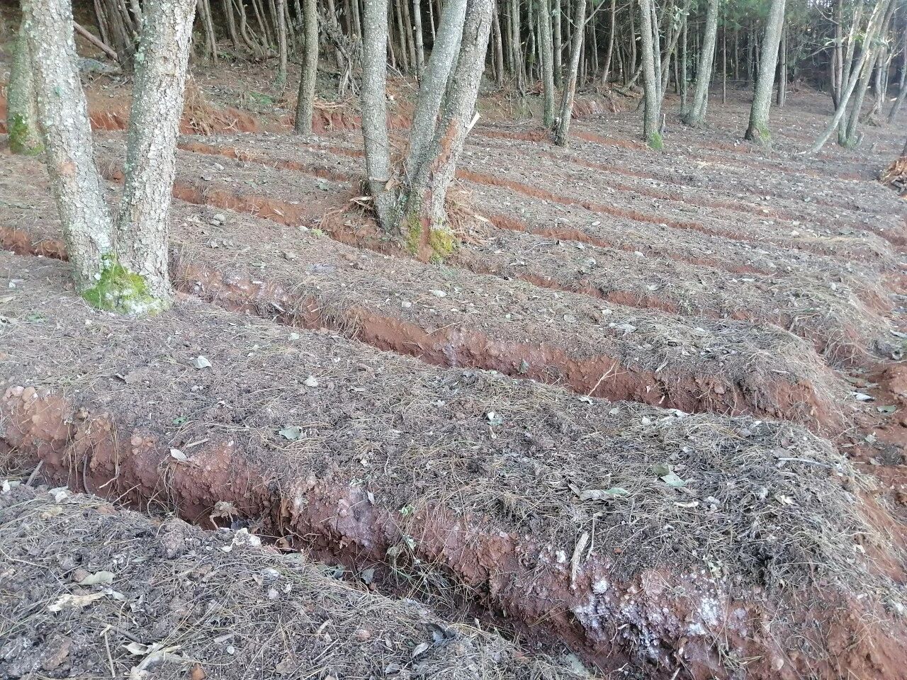 微信图片_20260108083609.jpg 微信图片_20260108083609.jpg