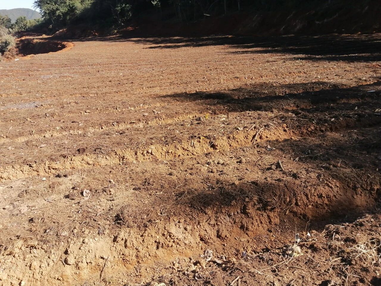 微信图片_20260108083620.jpg 微信图片_20260108083620.jpg