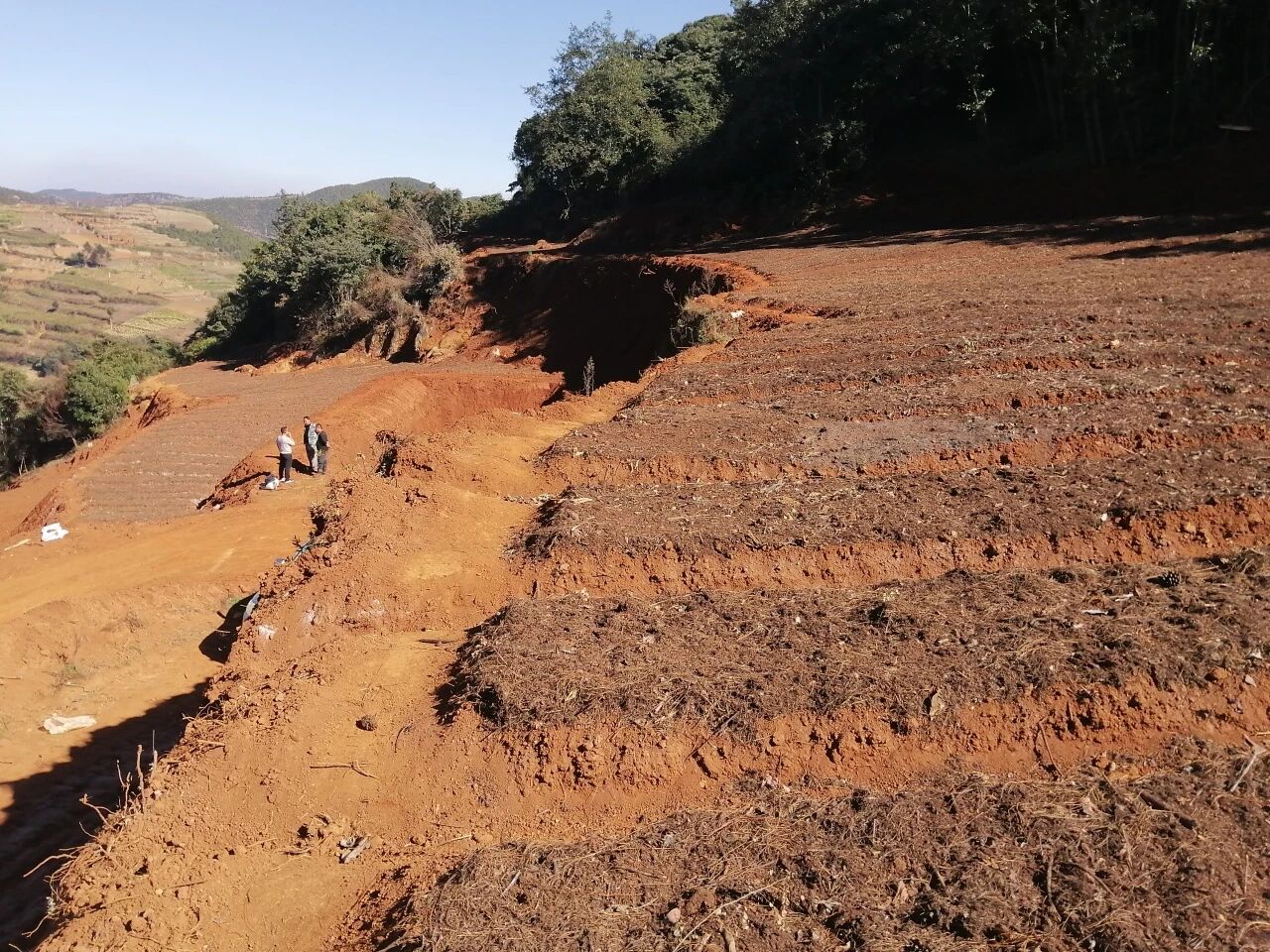 微信图片_20260108083801.jpg 微信图片_20260108083801.jpg