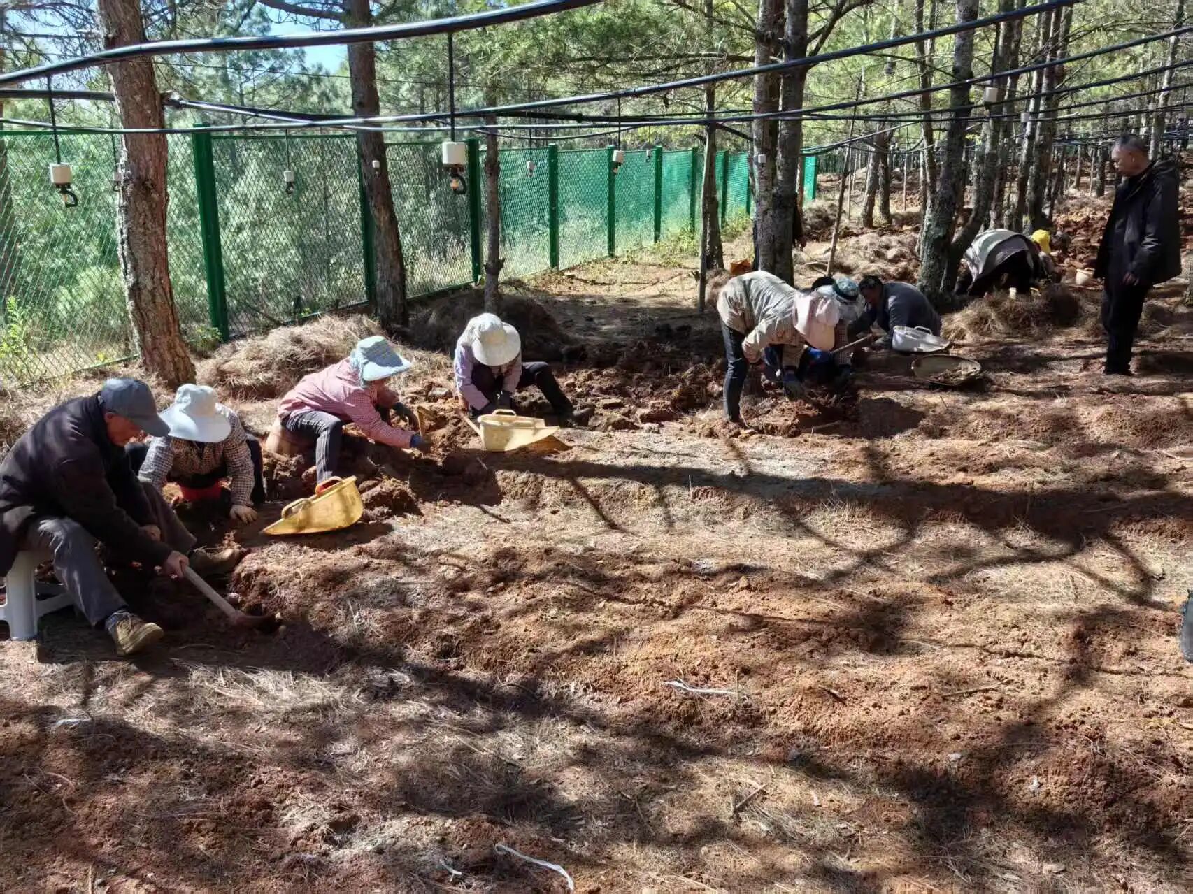 微信图片_20260130084610.jpg 微信图片_20260130084610.jpg