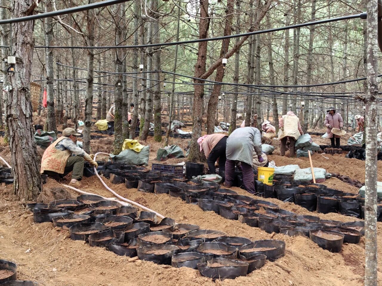 微信图片_20260227090002.jpg 微信图片_20260227090002.jpg