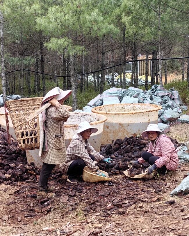 微信图片_20260227090122.jpg 微信图片_20260227090122.jpg