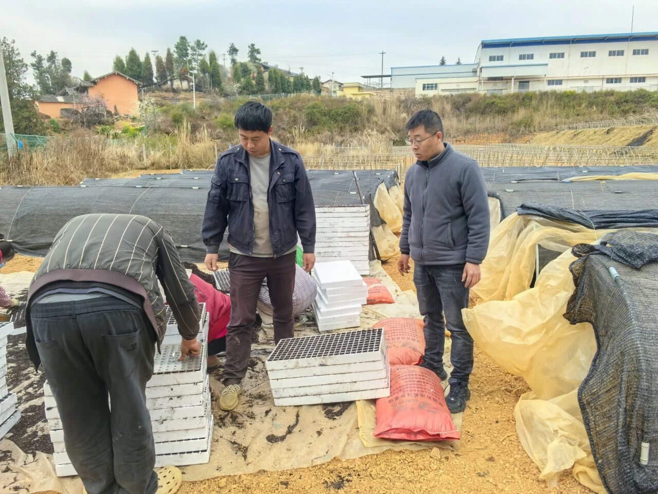 微信图片_20260302143056.jpg 微信图片_20260302143056.jpg