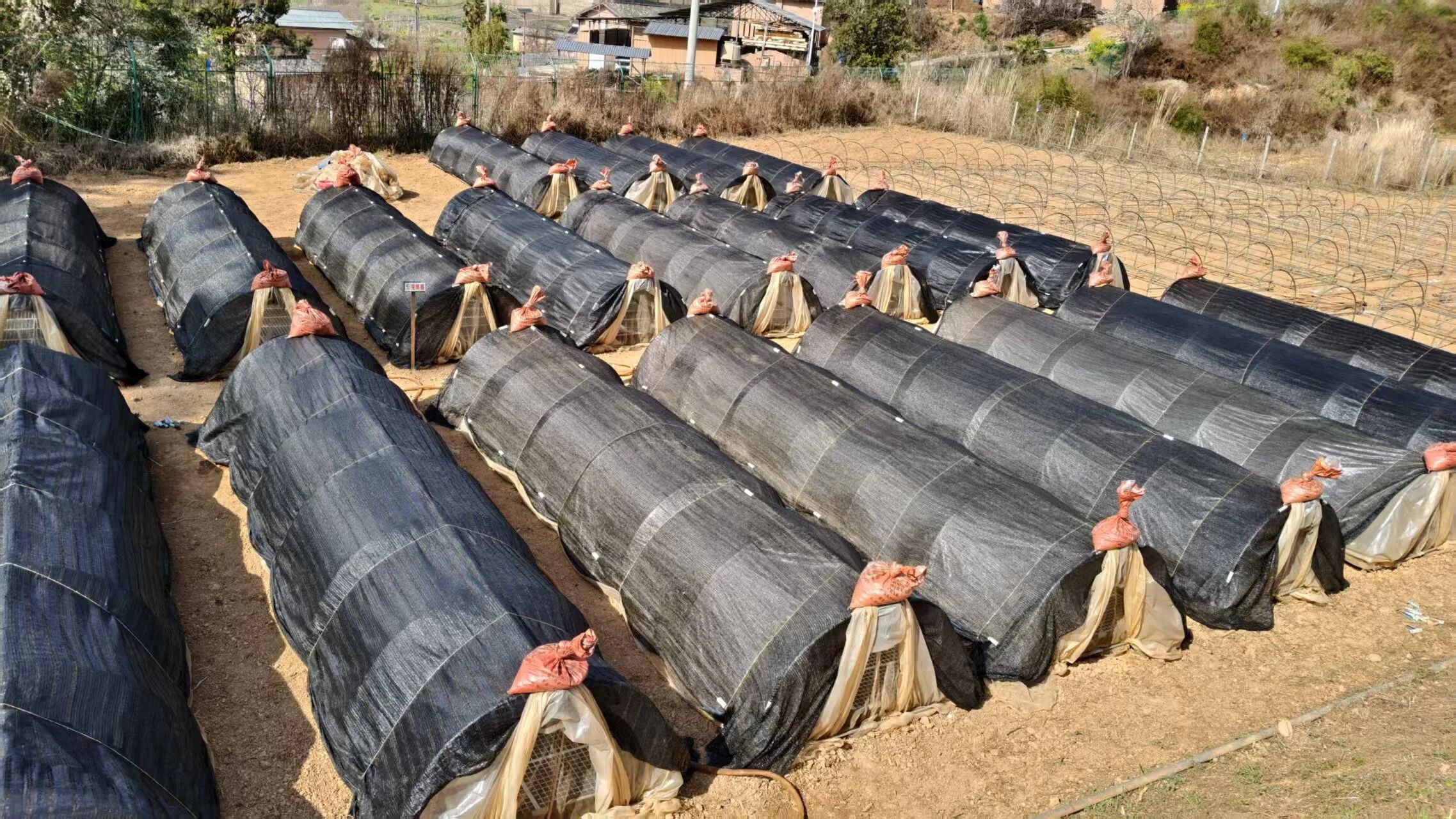 微信图片_20260302143108.jpg 微信图片_20260302143108.jpg