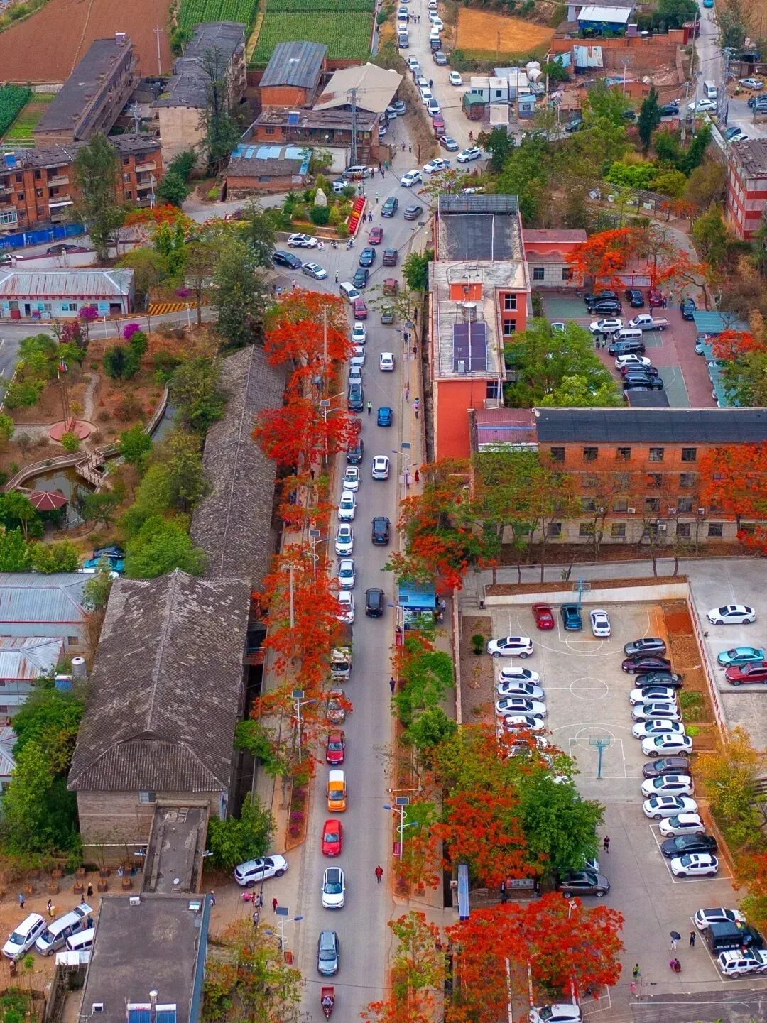 微信图片_20260311084429.jpg 微信图片_20260311084429.jpg