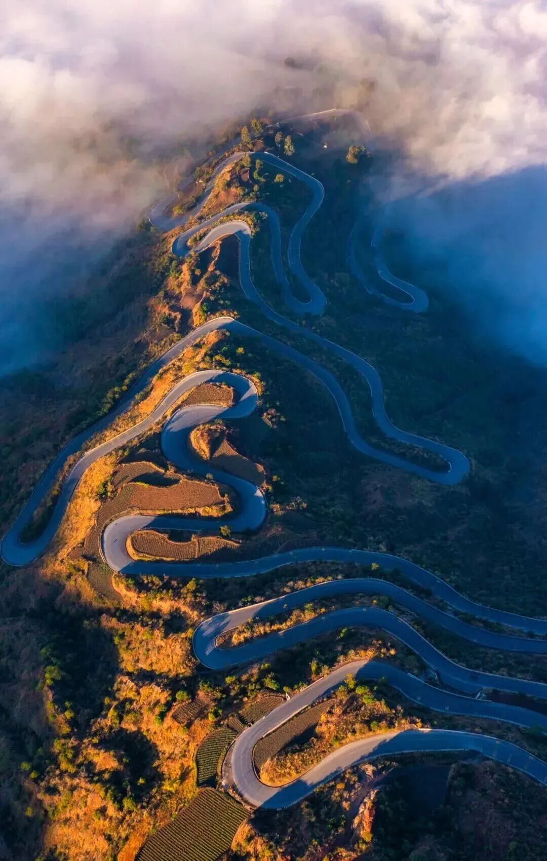 微信图片_20260311092351.jpg 微信图片_20260311092351.jpg