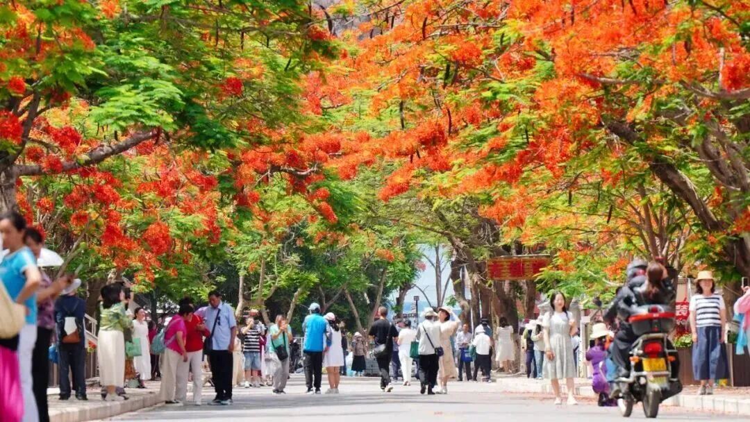 微信图片_20260311092345.jpg 微信图片_20260311092345.jpg