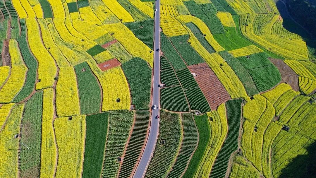 微信图片_20260311092401.jpg 微信图片_20260311092401.jpg